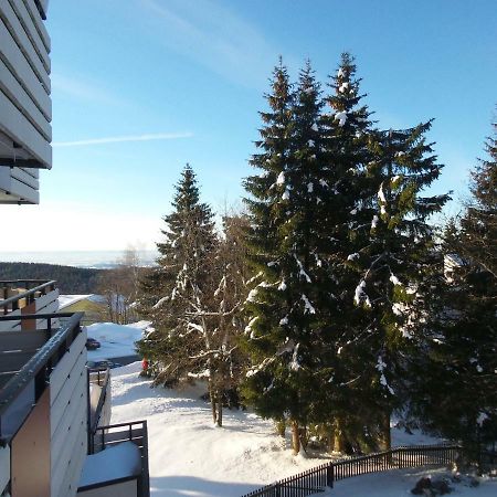 Ferienwohnung Mit Blick In Den Bayrischen Wald Oberhalb Von Sankt Engelmar Sankt Englmar Exterior photo